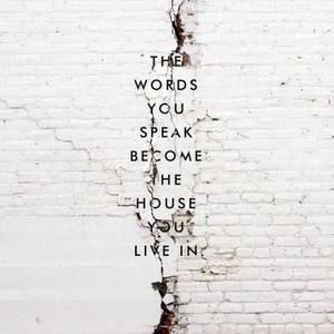 Meet your Posher, Jan